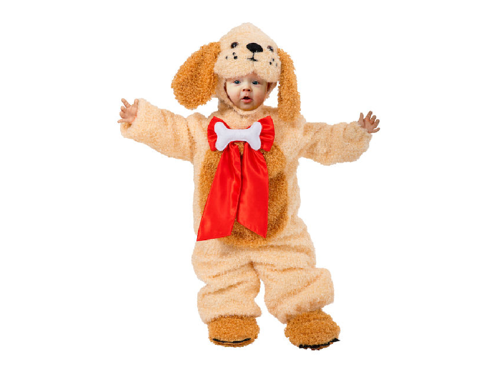 Bebe Dog Halloween Costume