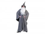 Wizard Costume One Size